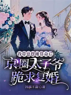 我带崽摆摊算命后，京圈太子爷跪求复婚